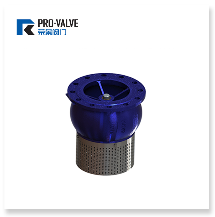 Foot valve