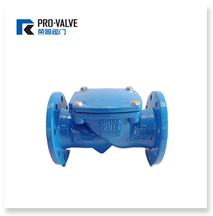 Rubber disc check valve