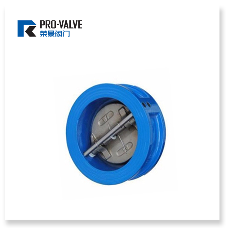 Double disc swing check valve