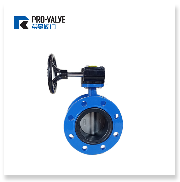 Double flanged concentric butterfly valve