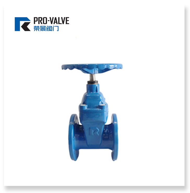 F4 resilient seated gate valve