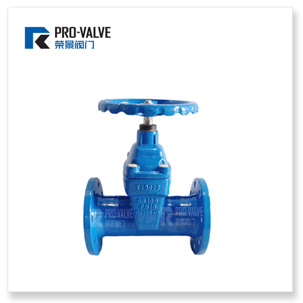 F5 resilient seated gate valve